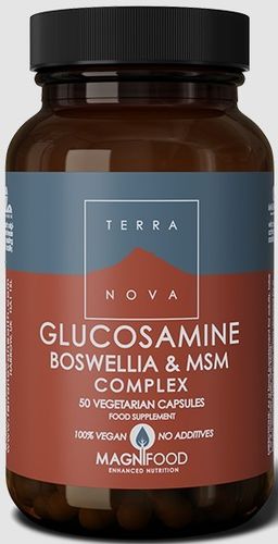 Glucosamine Boswellia & MSM Complex Terra Nova - 50 cápsulas