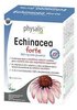 echinacea forte physalis