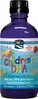 Children's DHA Nordic Naturals