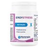 ergystress