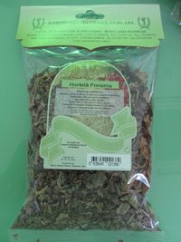 Hortelã-Pimenta (Planta) - 50 gr