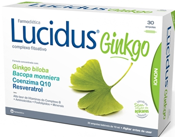 lucidus ginkgo