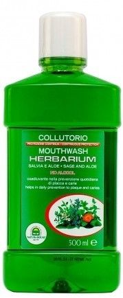 Elixir Bucal Salva e Aloé Herbal - 500 ml
