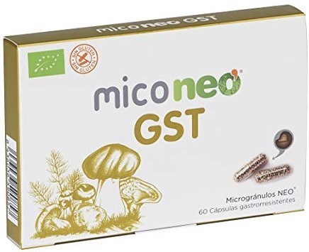 mico neo gst