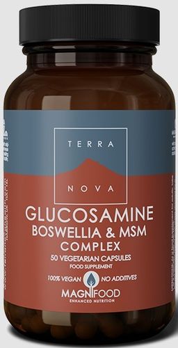 glucosamine boswellia e msm complex