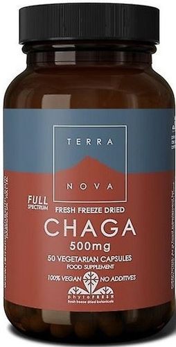 chaga 500 mg - 50 cápsulas vegetais